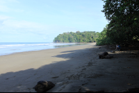 hermosa beach attraction dominical people 
 - Costa Rica