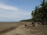 ballena aventura tour uvita beach  
 - Costa Rica