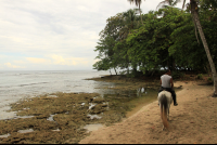 terraventuras beach horseback ride fossilzed reef 
 - Costa Rica