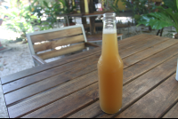 ginger kombucha luvburger 
 - Costa Rica