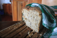 fresh bread lagarta lodge
 - Costa Rica