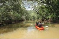 behind kayak in action
 - Costa Rica