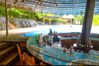 borrancho poolbar 
 - Costa Rica