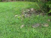 rock foundation for hut sphere park finca 
 - Costa Rica