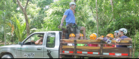 Truck Ride Up The Hill To Start Canopy Mal Pais
 - Costa Rica