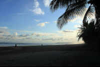 esterillos palm sunset 
 - Costa Rica