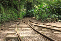 Monteverde train tour tracks 
 - Costa Rica