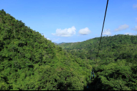 rainforest adventures landscape 
 - Costa Rica