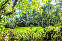 Manglares Hotel Gardens
 - Costa Rica