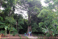 curi cancha entrance 
 - Costa Rica