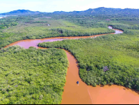 Aerial View Tamarindo Estauary Canals And Mountains
 - Costa Rica