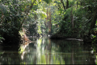 turtle beach canal 
 - Costa Rica