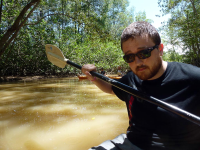 manglar isla mangrove kayak looking fly 
 - Costa Rica