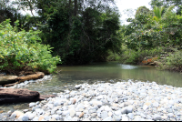 pinuelas beach attraction stream 
 - Costa Rica