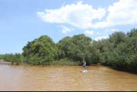 distant paddle in action
 - Costa Rica