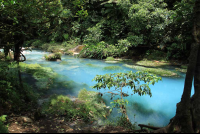 rio celeste river 
 - Costa Rica