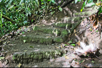 trail with some steps at arenal volcano  eruption site lookout point
 - Costa Rica