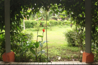 garden entrance sol samara 
 - Costa Rica