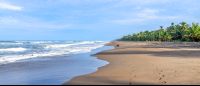 tortuguero destination beach 
 - Costa Rica