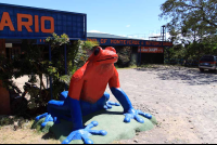 frog pond facade 
 - Costa Rica