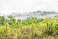 Mountain Ridge Of Los Patos Ranger Station
 - Costa Rica