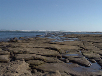 Tide Pools Esterillos West
 - Costa Rica