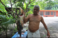 alexis with seabass 
 - Costa Rica