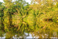 Sunset Reflexions On The Canal
 - Costa Rica