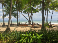 Beach Front
 - Costa Rica