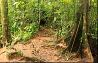 hacienda baru attraction trail 
 - Costa Rica