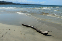 playa blanca log 
 - Costa Rica