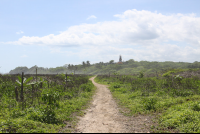 guiones path horseback
 - Costa Rica