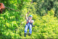 Man Ziplining On Suntrails Canopy Tour
 - Costa Rica