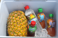 water juice and fruit samara surf lesson 
 - Costa Rica