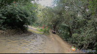 atv nosara tour on the other side of the bridge
 - Costa Rica