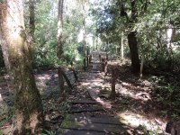 gandoca manzanillo wildlife refuge forest 
 - Costa Rica