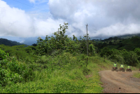 axr atv tour three riders 
 - Costa Rica