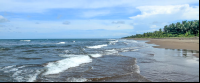 tortuguero beach attraction long view 
 - Costa Rica