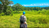 Green Pastures Horseback Rapelling Tour Rancho Tropical Matapalo
 - Costa Rica