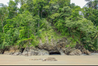 ventanas beach attraction vegetation 
 - Costa Rica