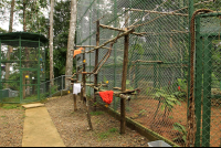 osa animal sanctuary tour page enclosures 
 - Costa Rica