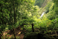 bijagual tour hike 
 - Costa Rica