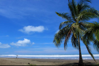 hotel bejuco beach 
 - Costa Rica