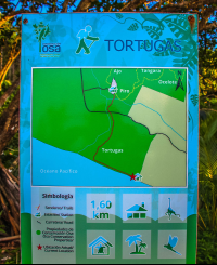 map turtle hatching at piro beach costa rica  
 - Costa Rica