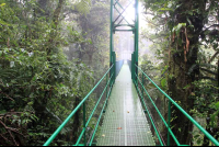 skywalk hangingbridge 
 - Costa Rica