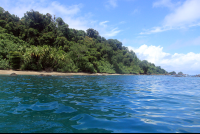 dominical surf dive snorkel cano closeup 
 - Costa Rica