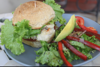 organic chickenbreast sandwich samaraorganics 
 - Costa Rica