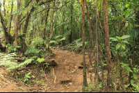 tenorio national park trail 
 - Costa Rica