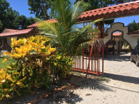 Plants At Entrance Hotelpuertocarrillo
 - Costa Rica