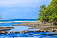 Ocean View From Lajas River
 - Costa Rica